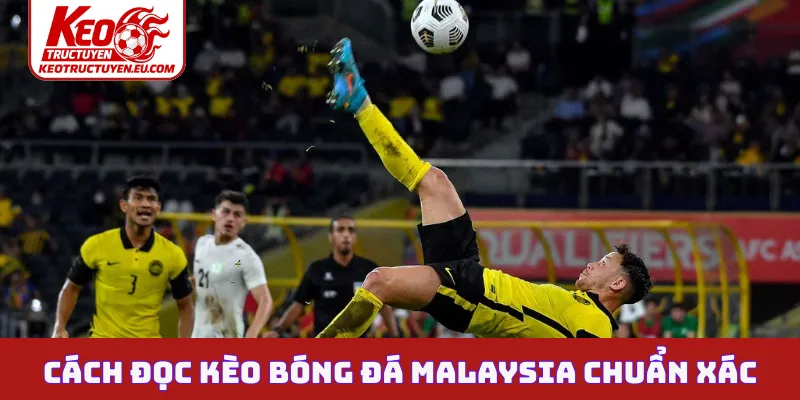 Cách đọc kèo bóng đá Malaysia chuẩn xác