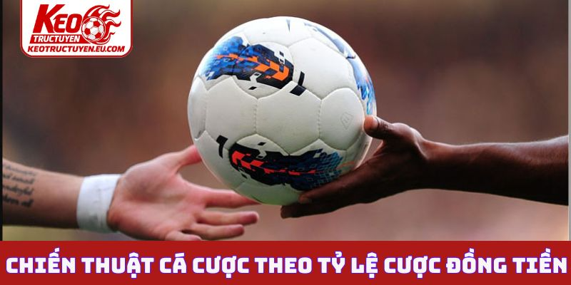 Chiến thuật cá cược theo tỷ lệ cược đồng tiền