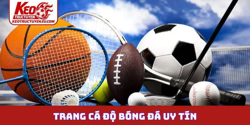 Trang cá độ bóng đá uy tín